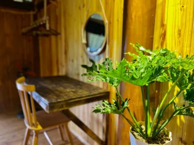 Pham's House - Homestay & Cafe – 照片 7